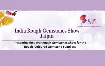 Rough Gem Show Exposition des pierres precieuses - Jaipur - Rajashtan - January 2018
